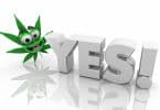 Marijuana ballot measures for mid term elections