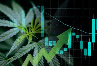 New cannabis trends this year