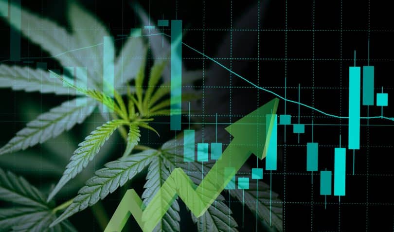 New cannabis trends this year