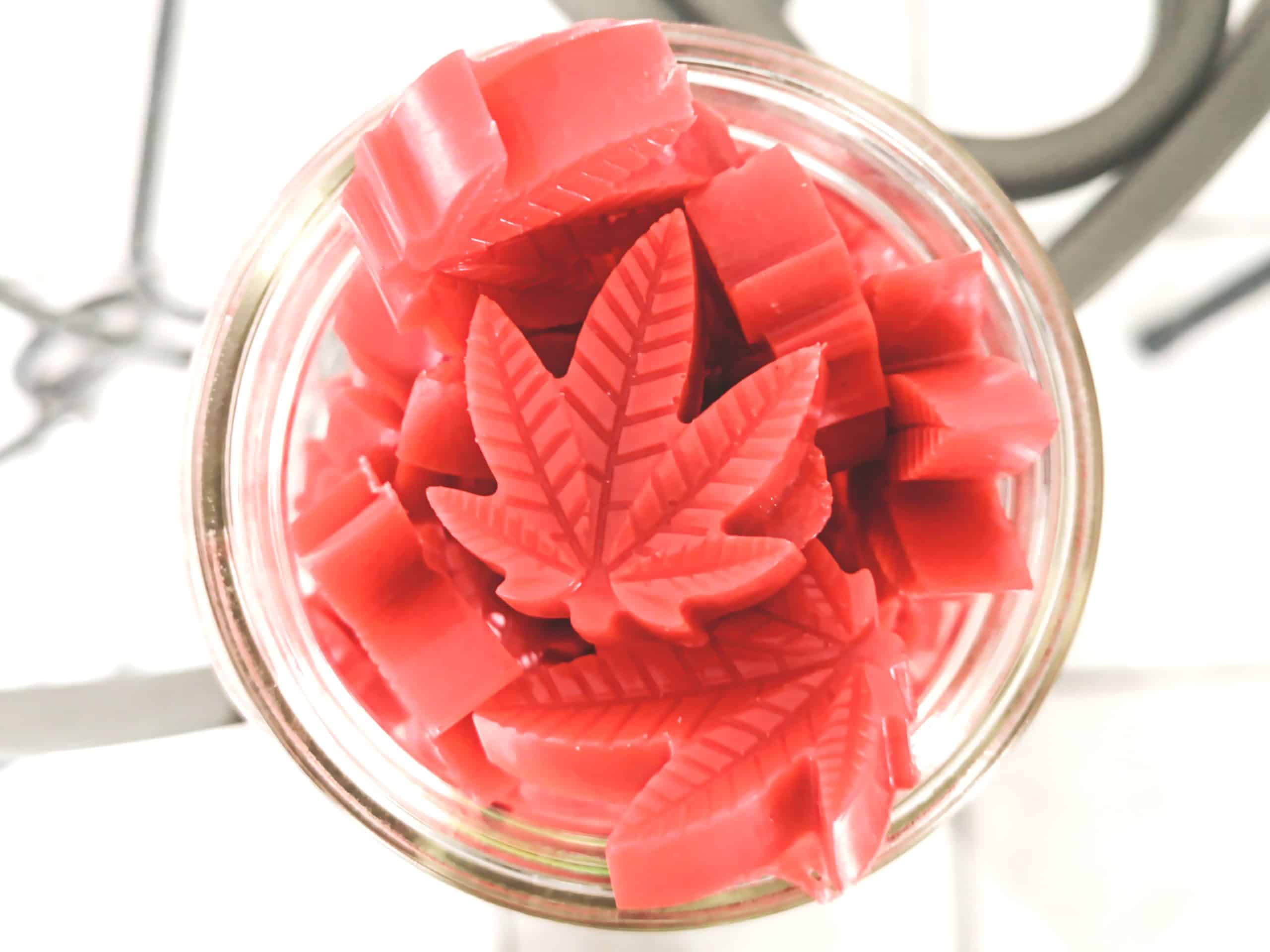 Everything You Need to Know About Cannabis Gummies