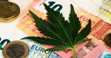 Germany impending cannabis market