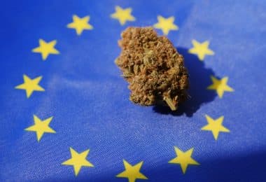 cannabis legal europe