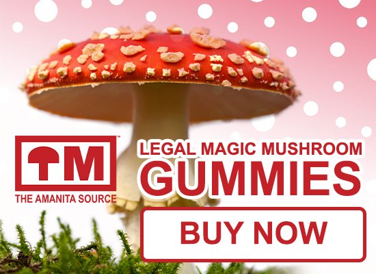 Best deals on Amanita Muscaria Mushroom Gummies