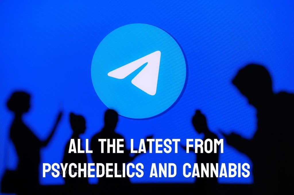 All The Latest From Psychedelics And Cannabis!
