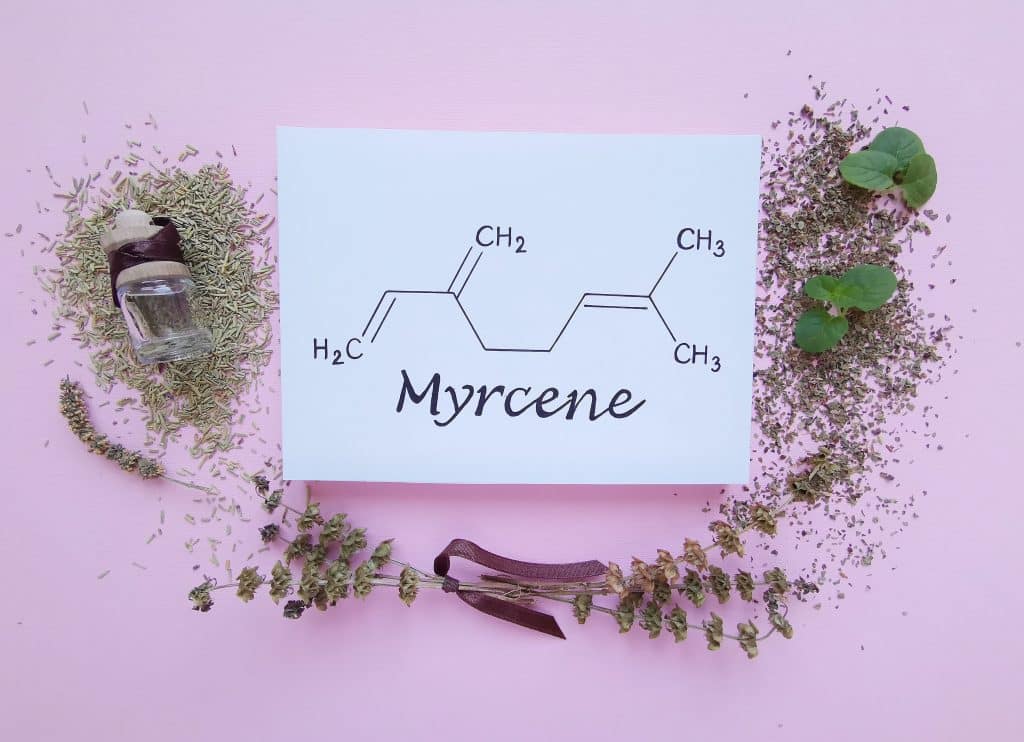 Does terpene myrcene get you high?