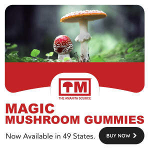 Mushroom-1.png