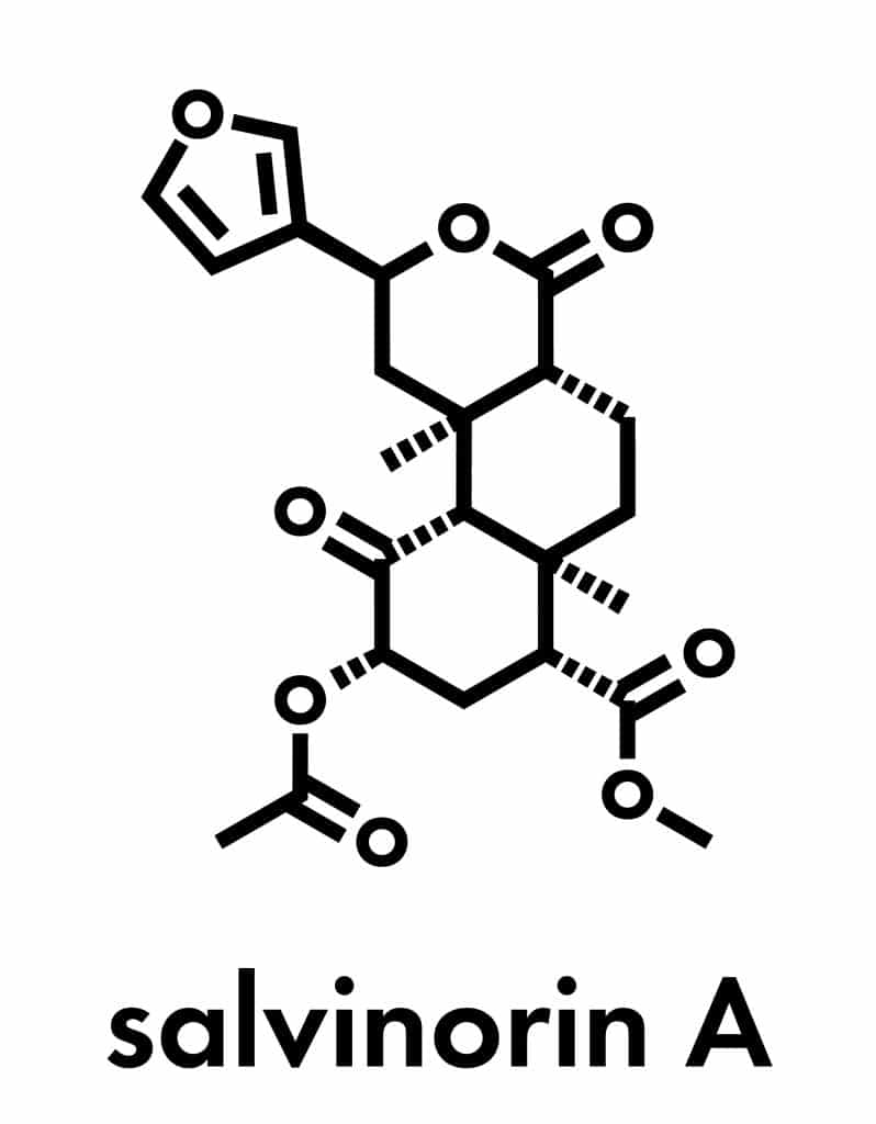 Salvia compound salvinorin A