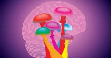 mushrooms migraines