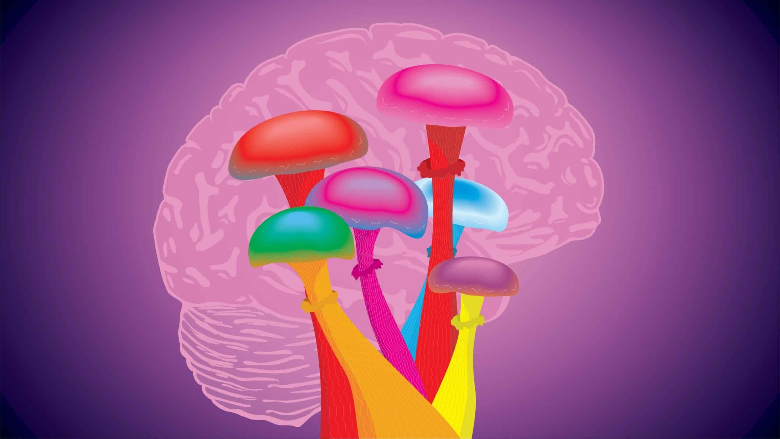 New Research Finds Magic Mushrooms are Successful at Managing Migraines