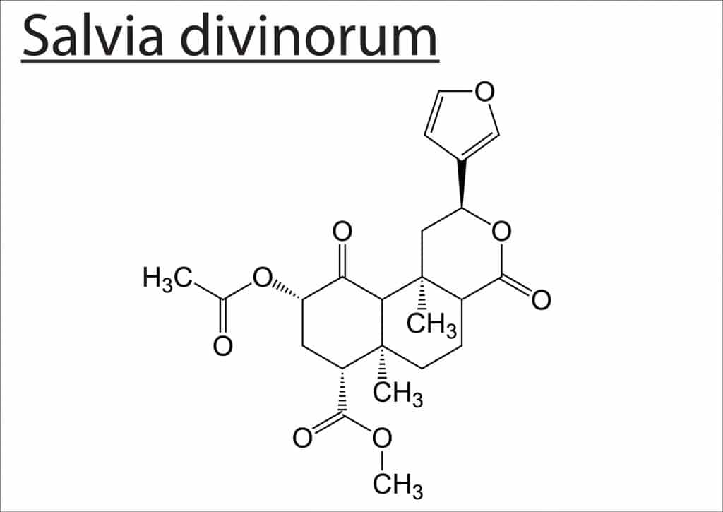 Active compound in salvia