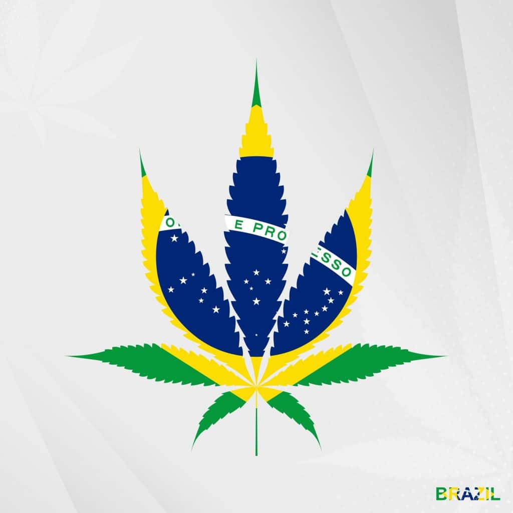 Brazil a start-up hub for cannabis companies