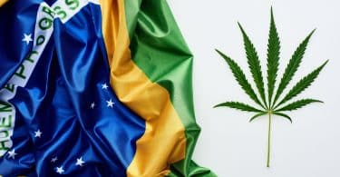 Brazil is the new cannabis startup home