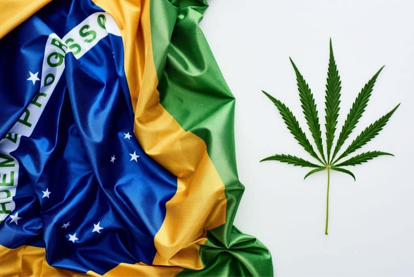 Brazil is the new cannabis startup home
