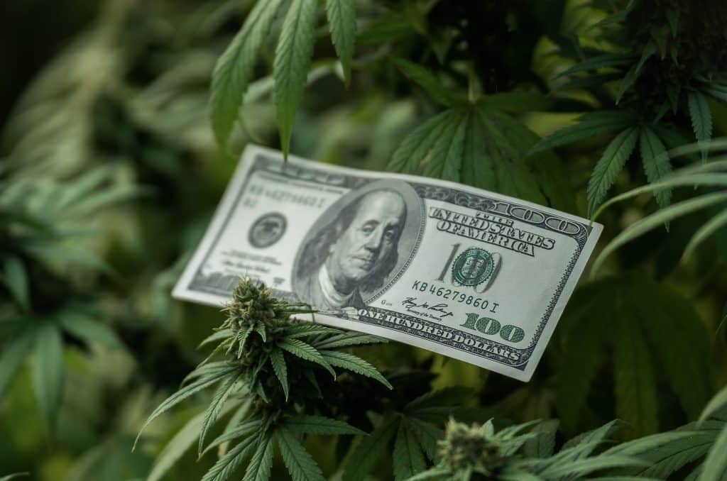 Cannabis legalization measures affect pharmaceutical sales
