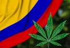 Colombia and cannabis laws