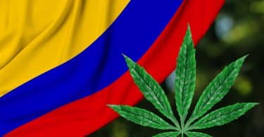 Colombia and cannabis laws