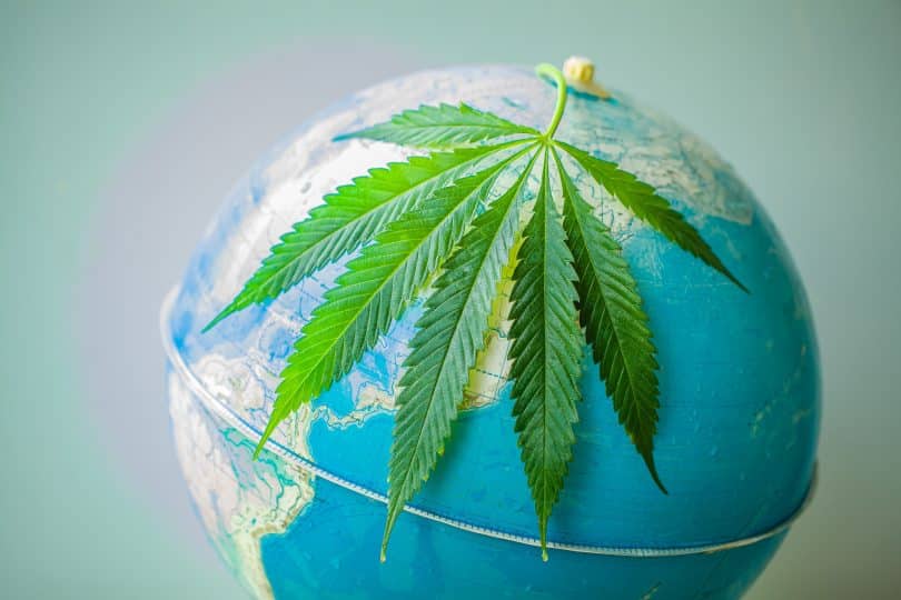 Global cannabis tourism