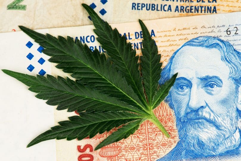 New Argentina hemp law in place