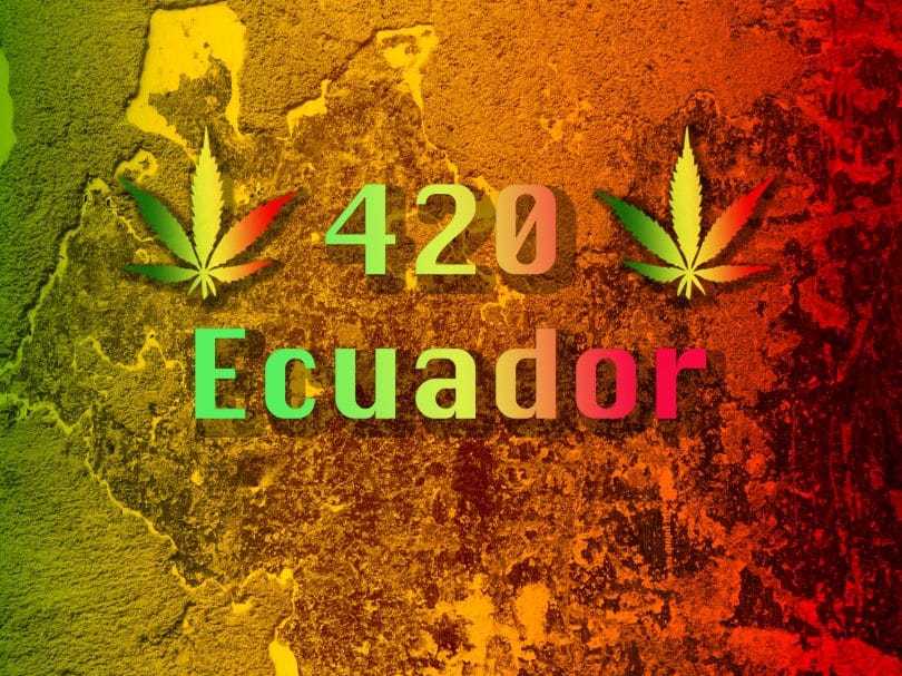 New Ecuador hemp project