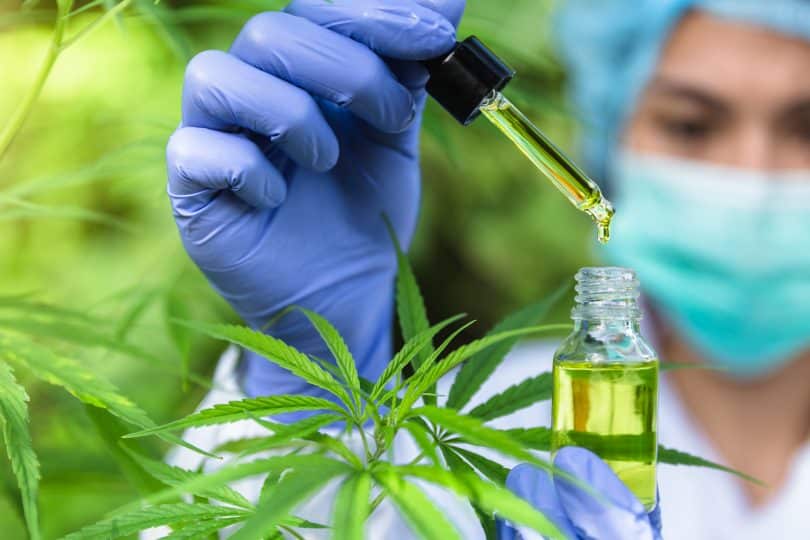 Reduced THC levels in Israel's Medical Cannabis Program