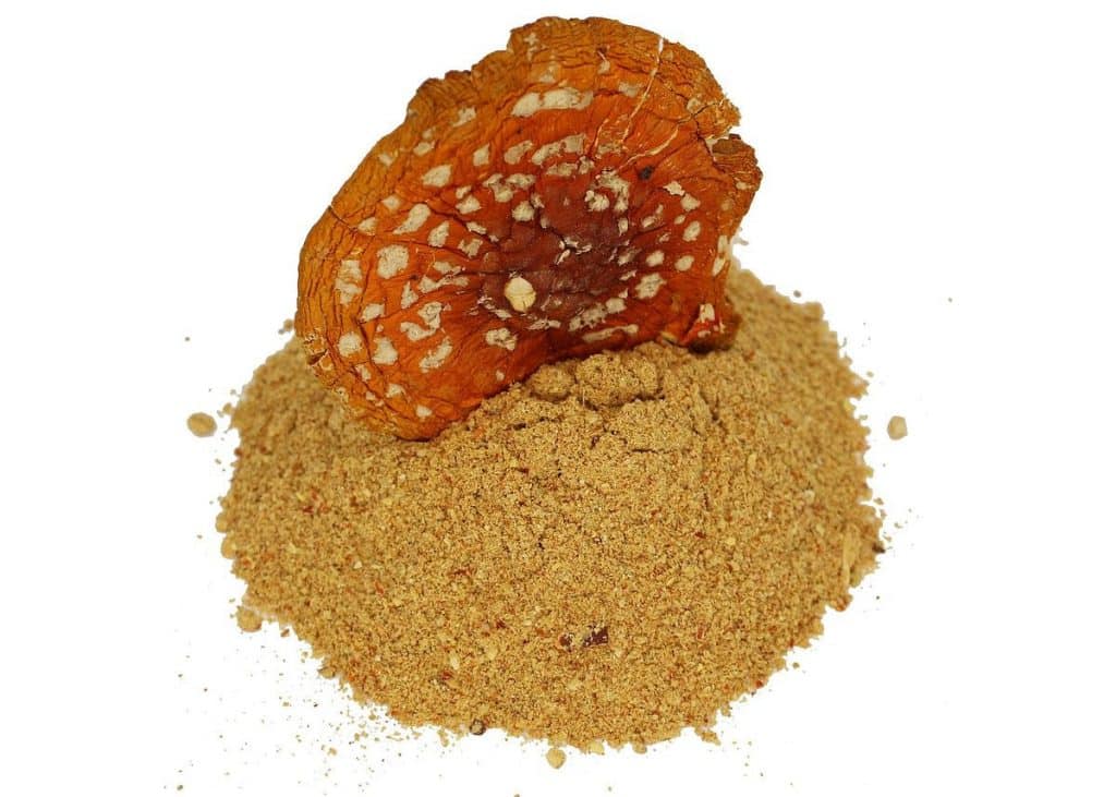 Amanita Muscaria Powder - Deal Of The Day: 50% Discount