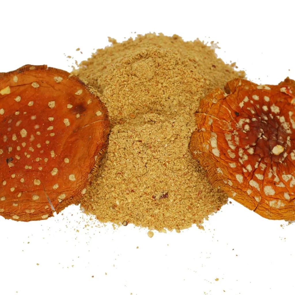 Amanita Muscaria Powder - Deal Of The Day: 50% Discount
