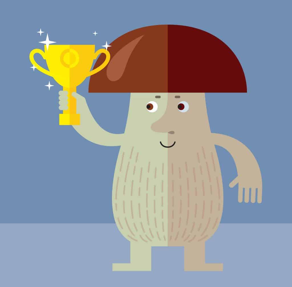 Hyphai Psilocybin Cup is a magic mushroom competition, Amanita Mushroom Tinctures
