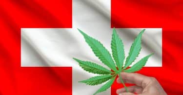 Switzerland's cannabis trials begin soon