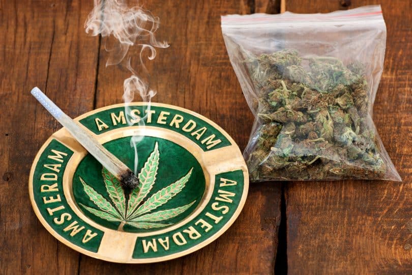 amsterdam cannabis ban
