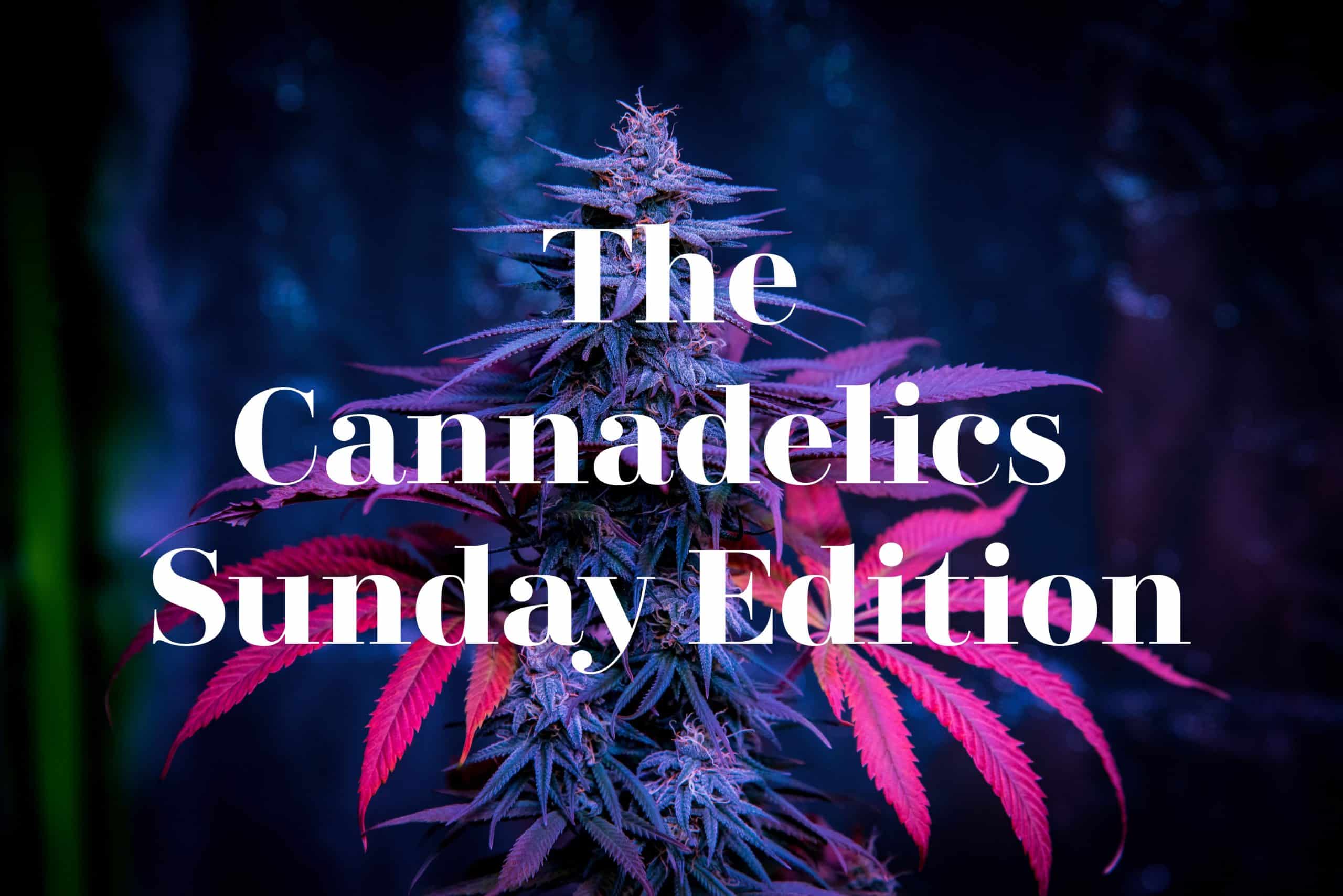 welcome-to-cannadelics-psychoactive-news