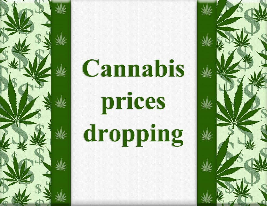 Drop in cannabis prices
