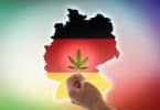 No full legalization in Germany for now