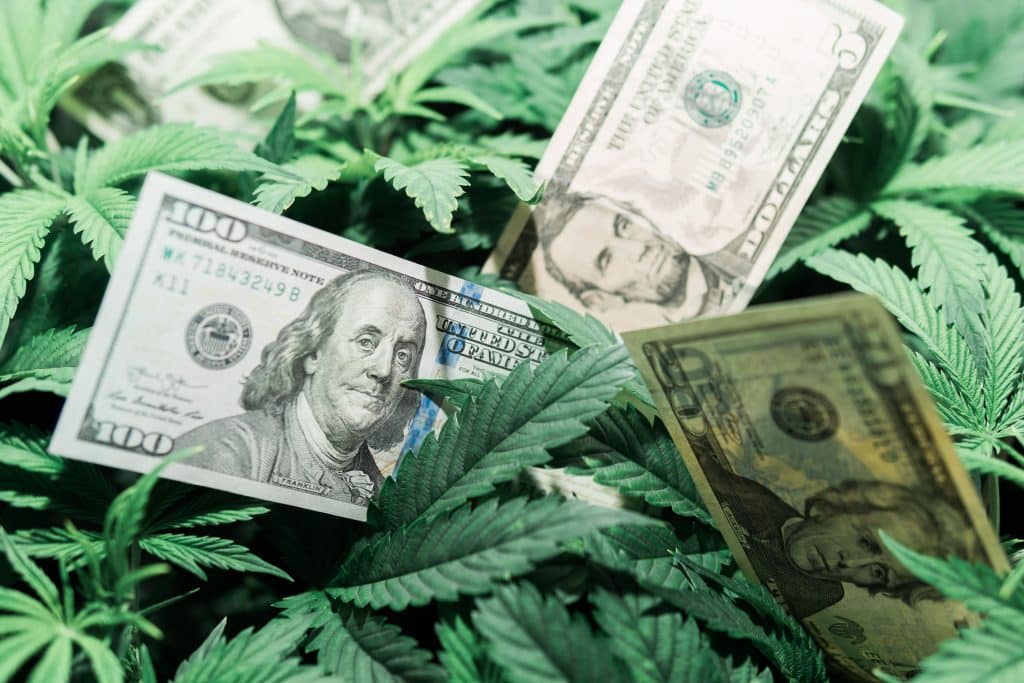 Ridiculous cannabis taxes make industry gross