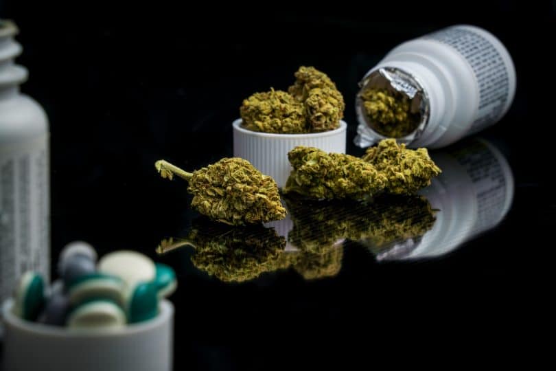 Texas bill to make cannabis an opioid alternative
