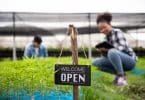 cannabis farmers' market