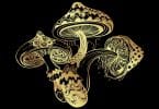 mushrooms gold