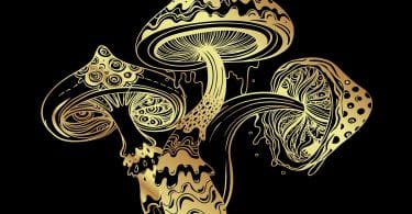 mushrooms gold