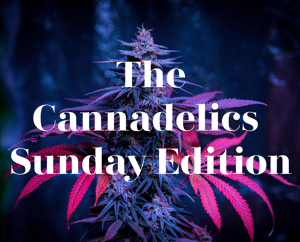 Cannadelics-Sunday-Edition-300.png