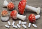 Amanita Mushroom Capsules