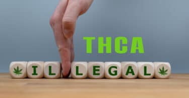 DEA Says THCA is Illegal