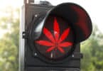 DeSantis Cannabis Agenda Legalization