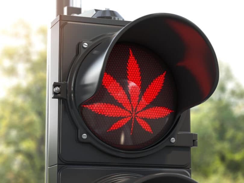 DeSantis Cannabis Agenda Legalization