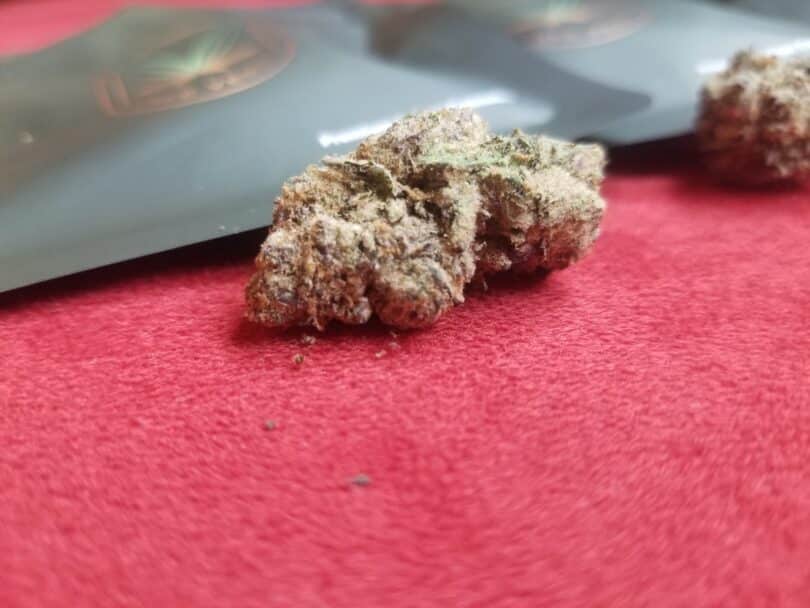 Mexico City weed