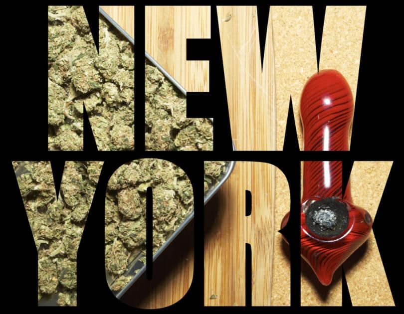 cannabis new york
