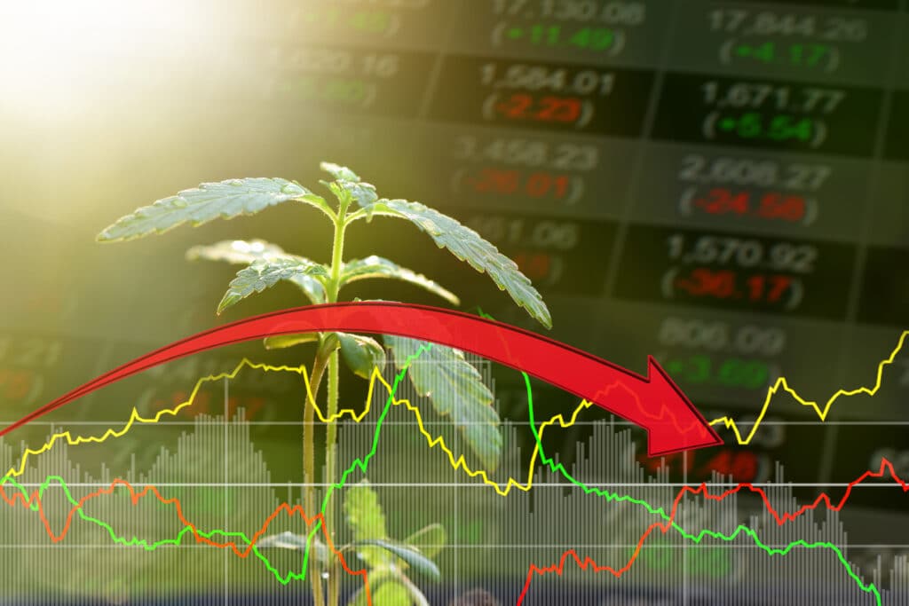 Canopy stock price fell so much, company given $0 target price