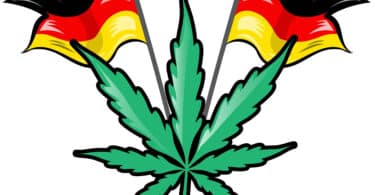 Germany's new cannabis draft law explains the current plan