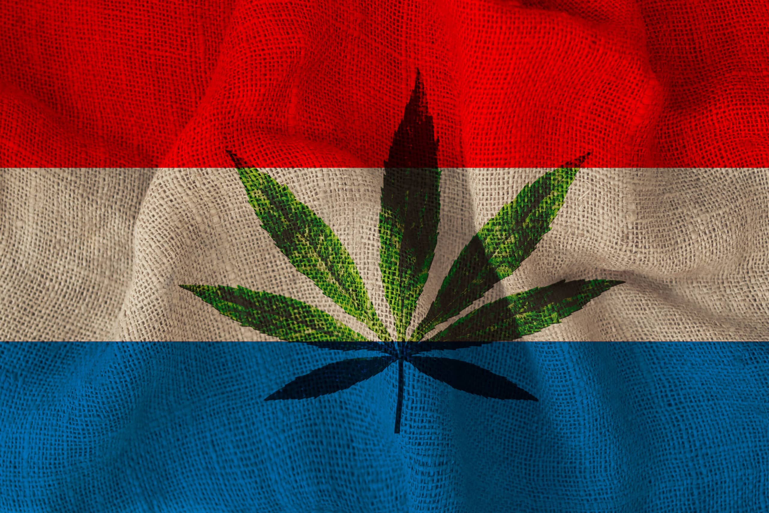 Luxembourg Legalizes Cannabis: What You Need to Know