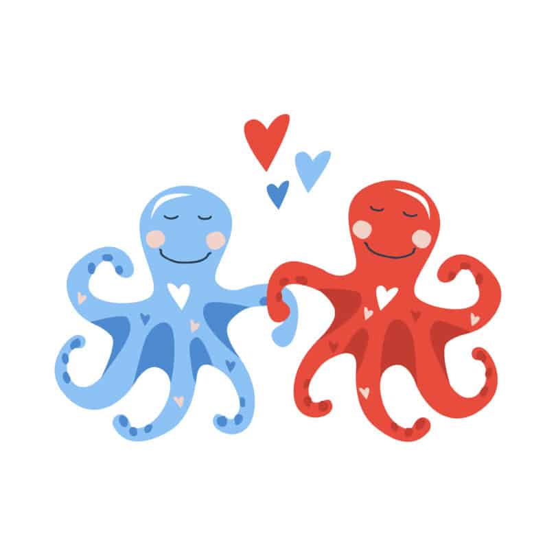 Octopuses get more social on MDMA