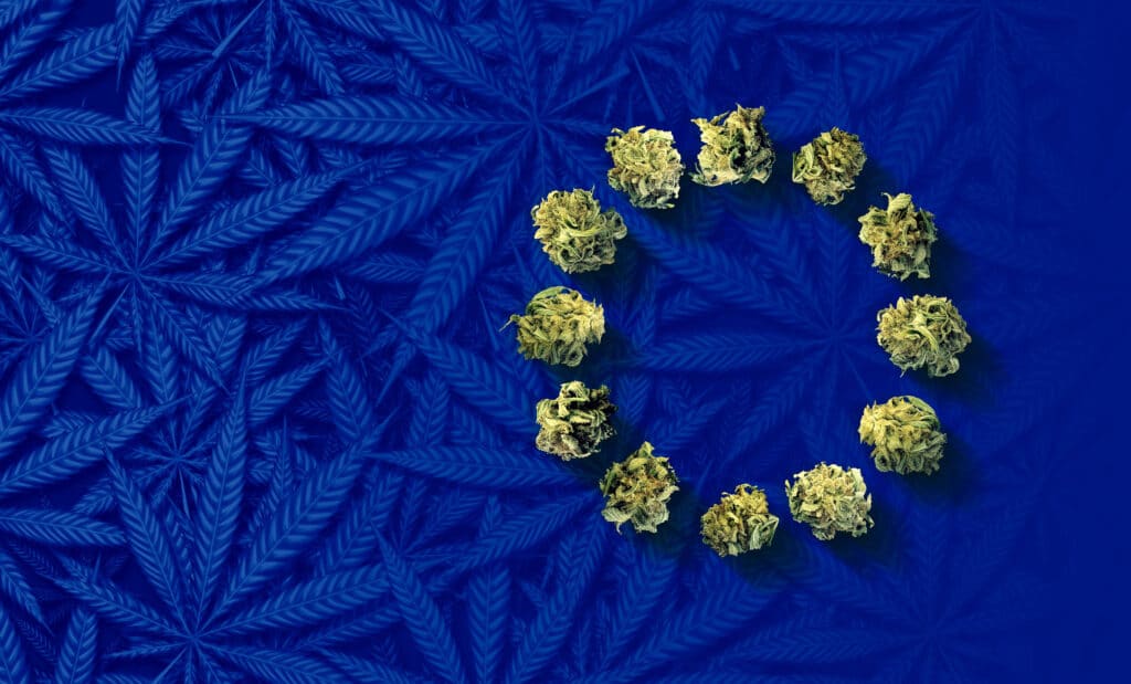 The EU does not make it easy to open a legal cannabis market