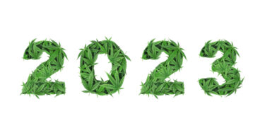 2023 election season nears with new cannabis ballot measures